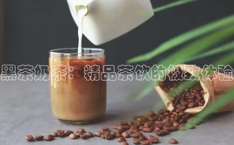 意昂4凯捷体育巴美列捷福