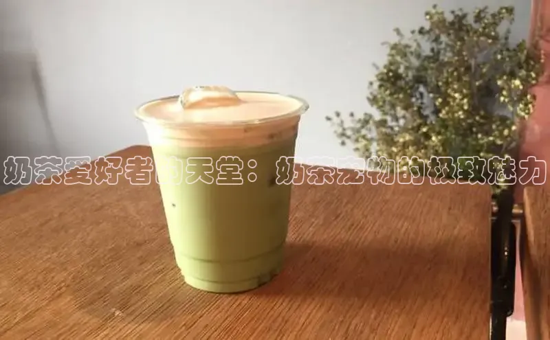 凯捷体育普信公司