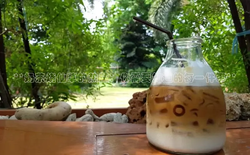 意昂4凯捷视觉中国