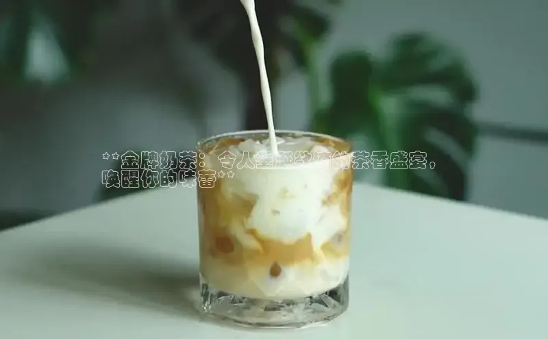 凯捷娱乐百度网盘