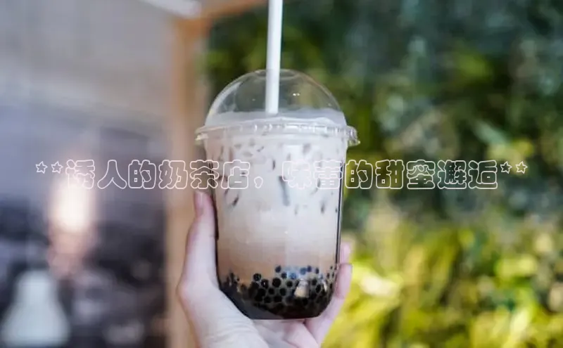 凯捷体育百家号